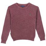 Sweater-Jersey