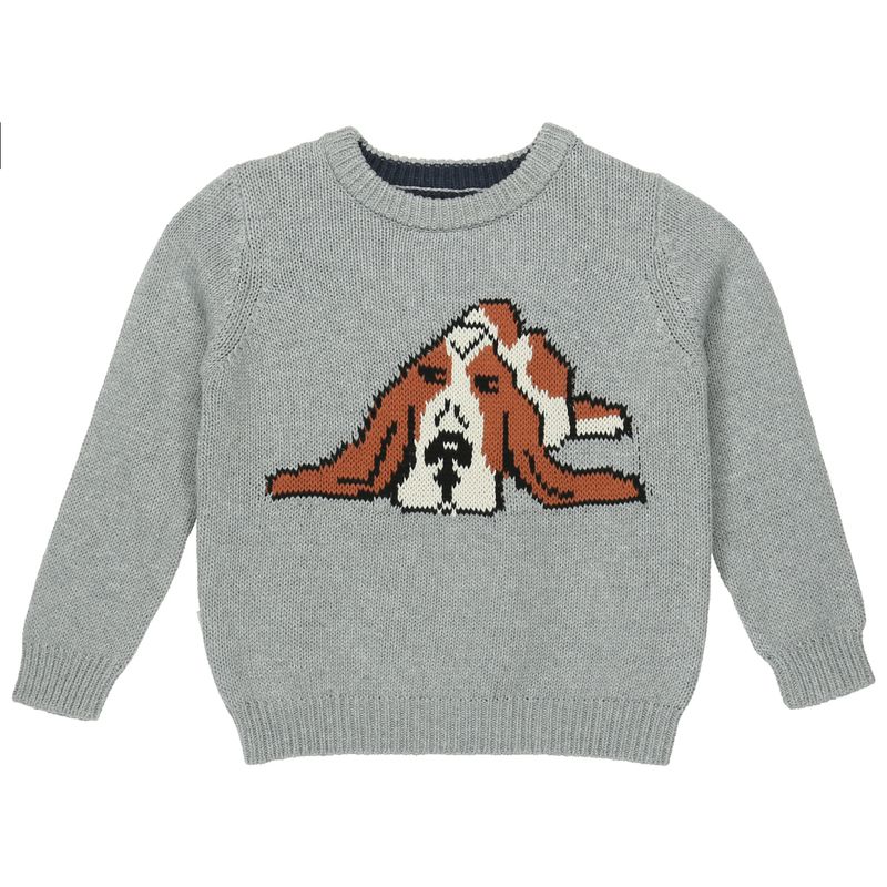 Sweater-Perro