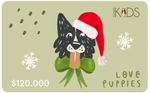 Gift-Card--120.000