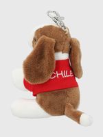 Peluche-Hound-Keyring-Futbol-Cafe