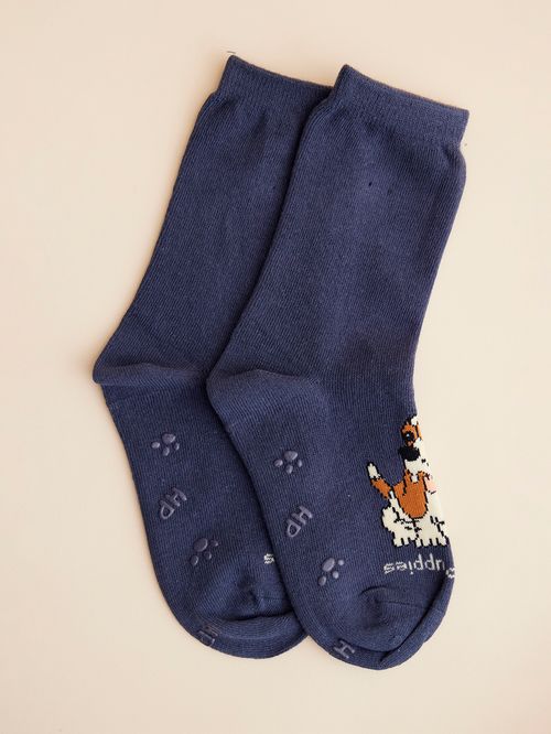 Calcetin Algodón Niño C Sportdog Azul Hush Puppies