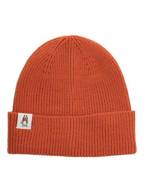 Gorro Poliéster Reciclado Niño Beanie Hp Kids Dog Naranjo Hush Puppies