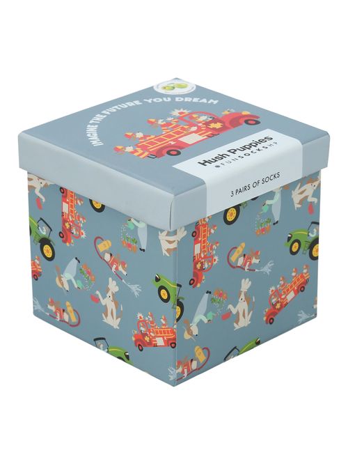 Calcetin Algodón Niño Pack Gift Proff Multicolor Hush Puppies