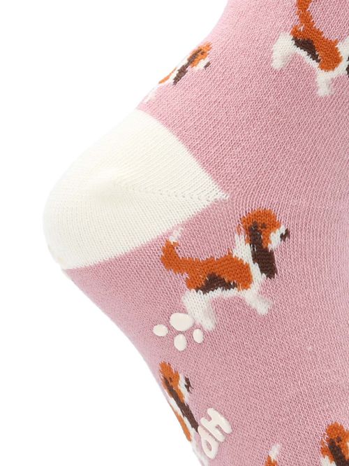Calcetin Algodón Niña C St Bassets Rosado Hush Puppies