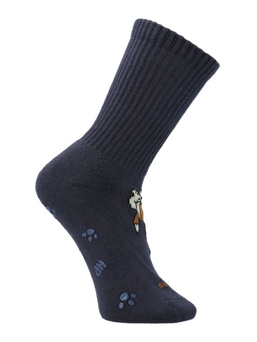 Calcetin Algodón Niño C Dog Sportrib Azul Hush Puppies