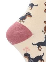 Calcetin-Algodon-Niña-C-Dachshund-Beige-Crudo-Hush-Puppies