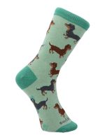 Calcetin-Algodon-Niño-C-Dachshund-Verde-Hush-Puppies