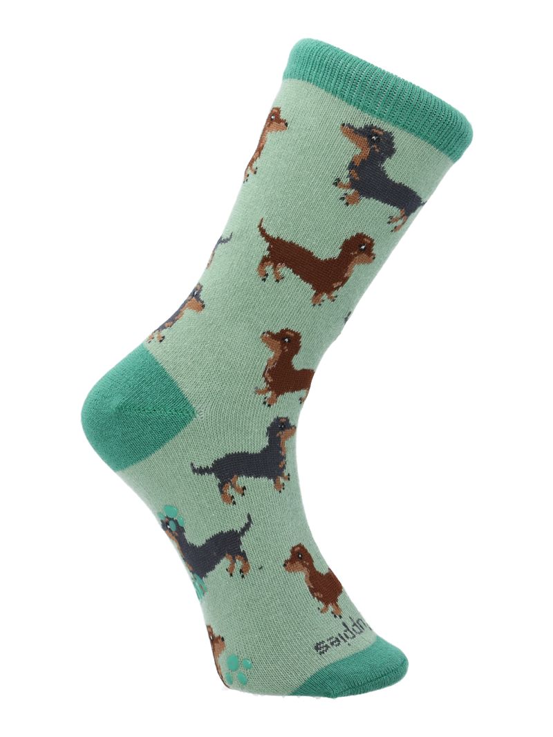 Calcetin-Algodon-Niño-C-Dachshund-Verde-Hush-Puppies