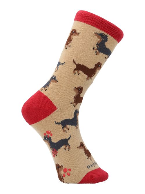 Calcetin Algodón Niño C Dachshund Beige/Crudo Hush Puppies