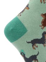 Calcetin-Algodon-Niño-C-Dachshund-Verde-Hush-Puppies