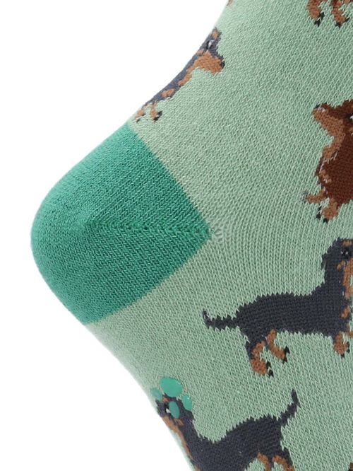Calcetin Algodón Niño C Dachshund Verde Hush Puppies