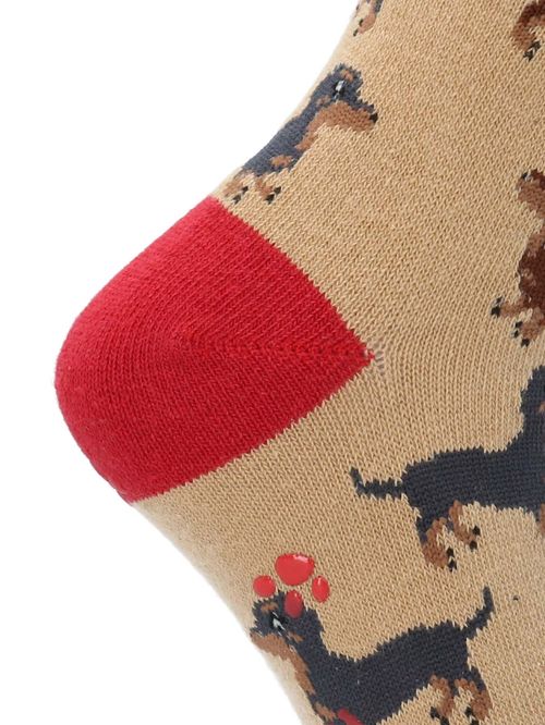 Calcetin Algodón Niño C Dachshund Beige/Crudo Hush Puppies