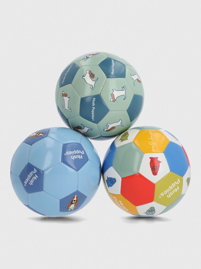 Pelota  Niño Minibalon Hp Dog Azul Hush Puppies