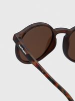 Anteojos Policarbonato Niño Hk Charles Glasses Café Hush Puppies