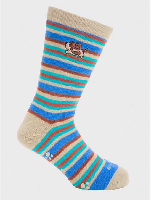 Calcetin Algodón Niño C Lines Multicolor Hush Puppies