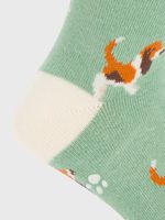 Calcetin Algodón Niño C Basset Verde Hush Puppies