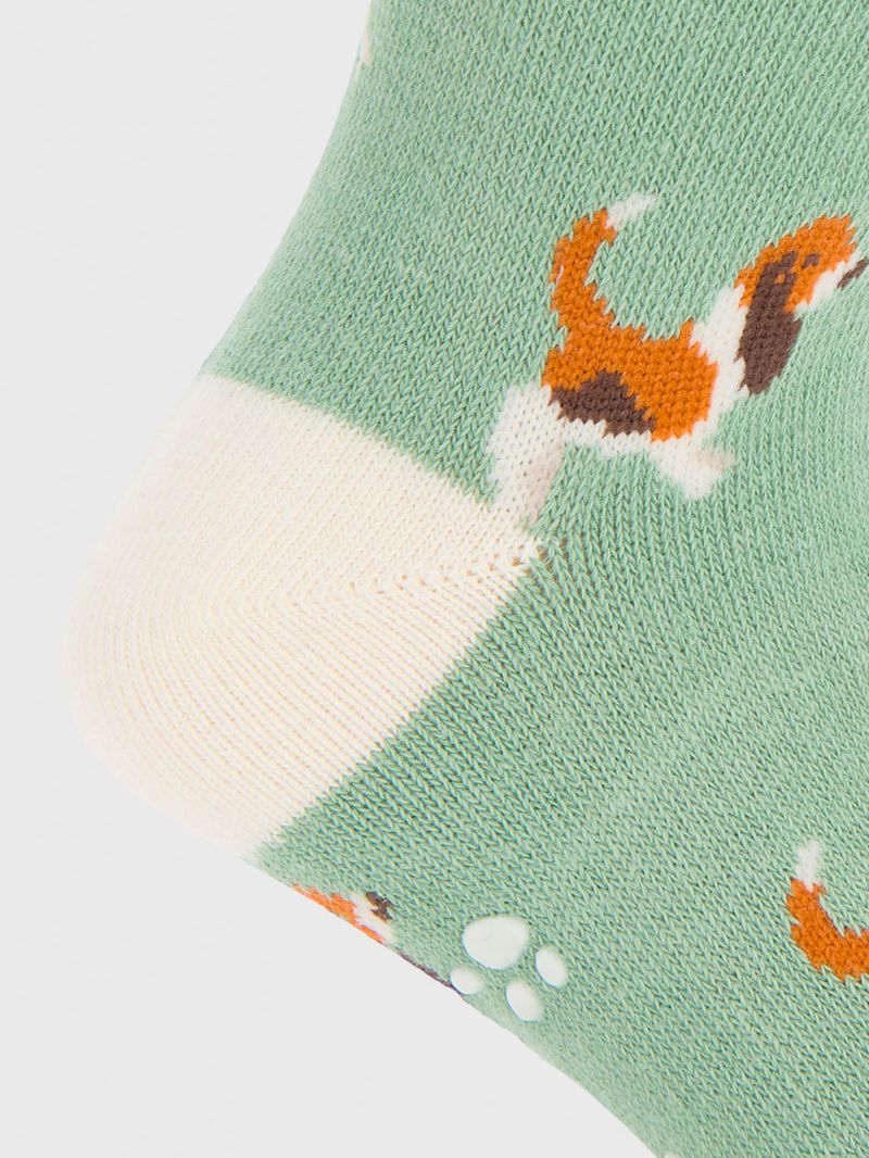Calcetin Algodón Niño C Basset Verde Hush Puppies