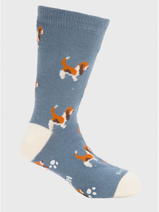 Calcetin Algodón Niño C Basset Azul Hush Puppies
