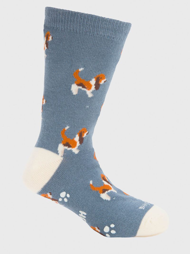 Calcetin Algodón Niño C Basset Azul Hush Puppies