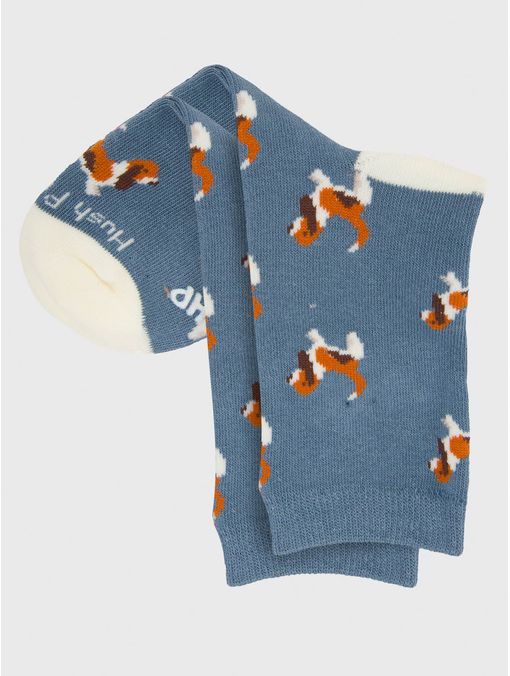 Calcetin Algodón Niño C Basset Azul Hush Puppies