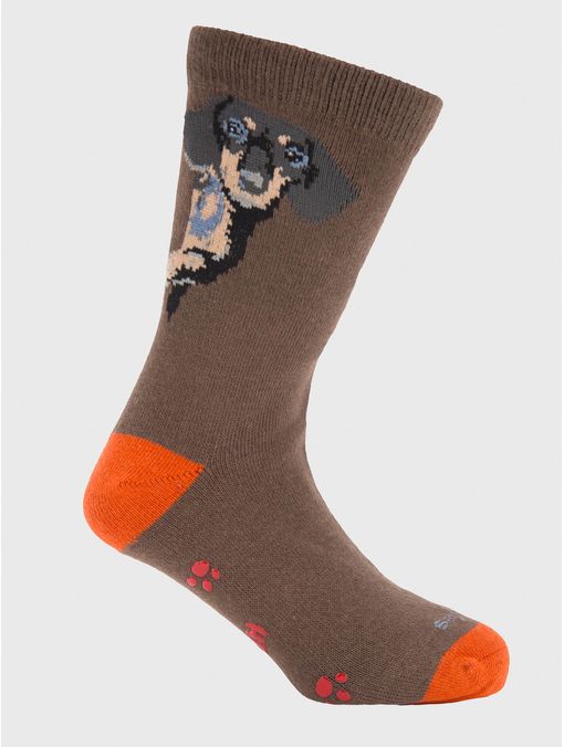 Calcetin Algodón Niño C Dachshund Café Hush Puppies