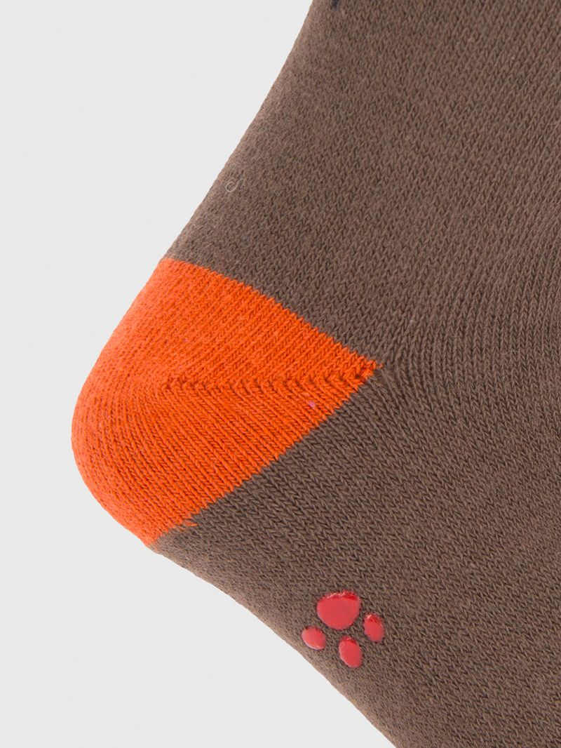 Calcetin Algodón Niño C Dachshund Café Hush Puppies