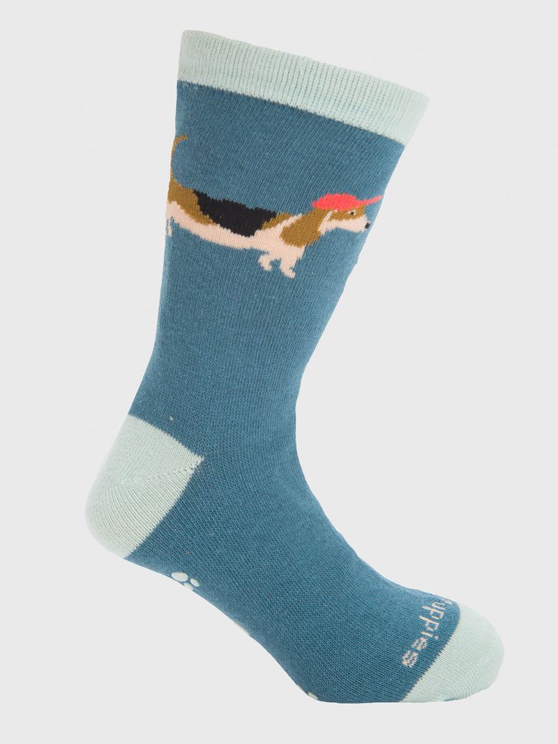 Calcetin Algodón Niño C Cap Dog Azul Hush Puppies