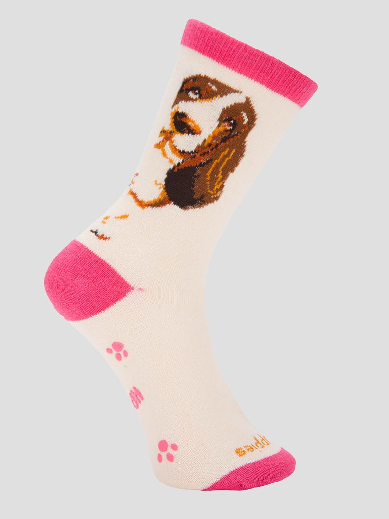 Calcetin Algodón Niña C St Bigbasset Beige/Crudo Hush Puppies