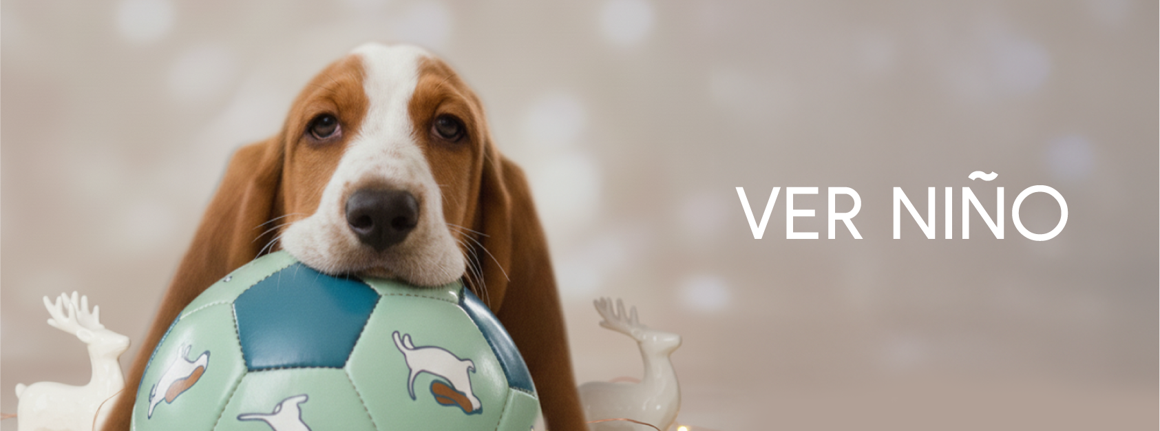 VER NIÑO